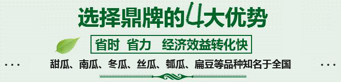購(gòu)買(mǎi)蔬菜種子，選擇鼎牌的四大優(yōu)勢(shì)