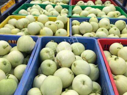 蔬菜種子種植戶(hù)客戶(hù)點(diǎn)評(píng)-5元1斤，這個(gè)新品種真香甜！