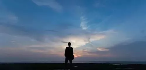 雇工難、成本高，想種甜瓜怎么辦？