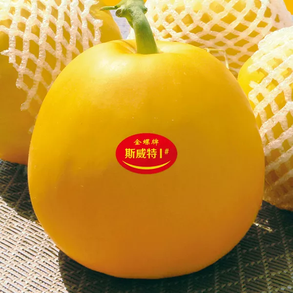 薄皮甜瓜，哪個品種最好呢？畝產(chǎn)高達10萬，附4種市場爆款品種