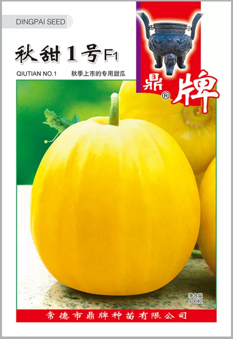 高溫季節(jié)種植甜瓜，什么品種最好？這個(gè)品種是秋季上市的專用品種