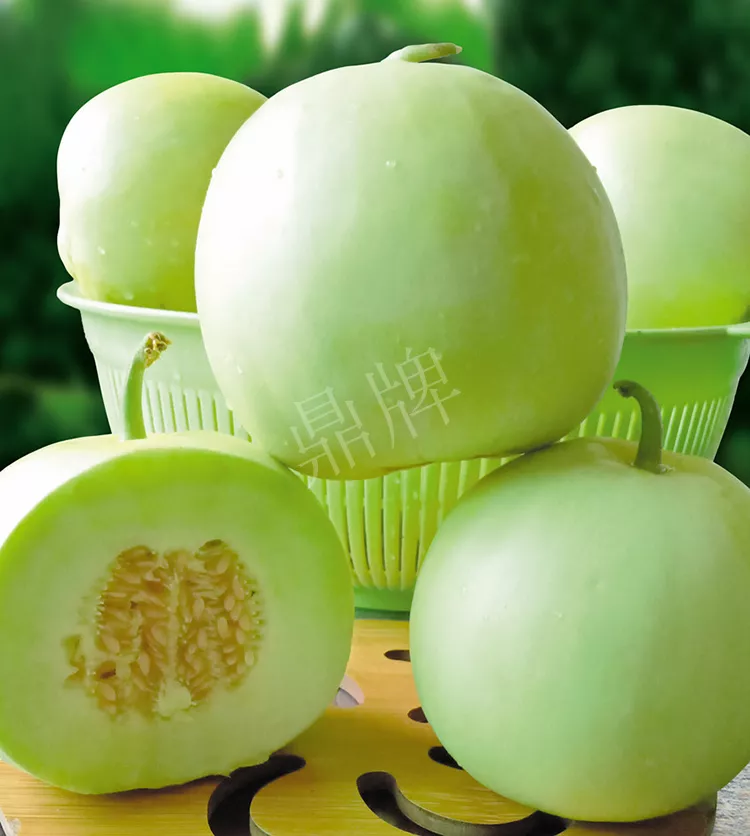 7元一斤還遭瘋搶，畝收益超2萬元！到底什么甜瓜能這么牛？