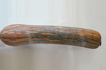 知道最甜最面的南瓜品種嗎？盤點(diǎn)十種有營養(yǎng)的甜面南瓜...