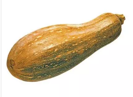 知道最甜最面的南瓜品種嗎？盤點(diǎn)十種有營養(yǎng)的甜面南瓜...