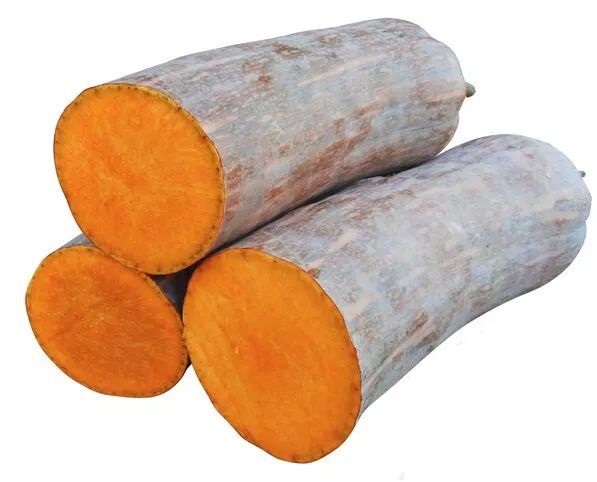 生吃都好吃南瓜新品種，沒有大肚子，肉質(zhì)更密致，農(nóng)戶試種下