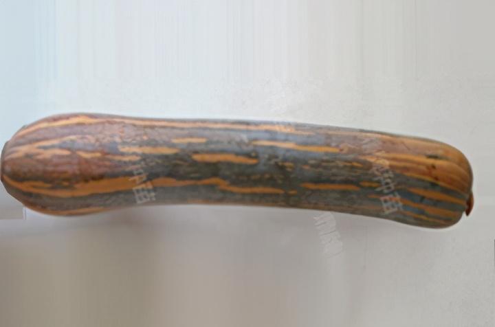 2020年，市面上的南瓜品種哪個口感最好、最甜、最值得種植？