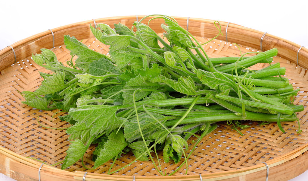 種這種綠葉菜，栽培輕松，畝產(chǎn)值過萬元，菜農(nóng)表示很劃算