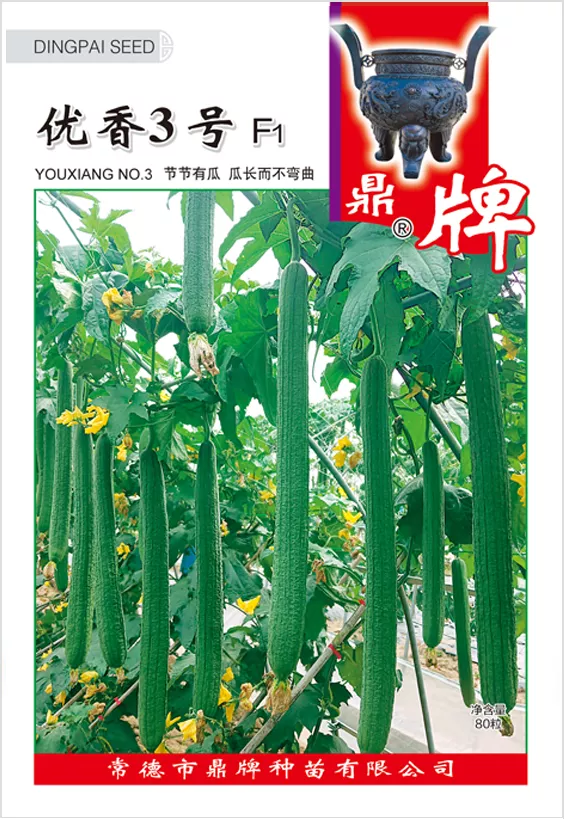 它是絲瓜種植戶的新選擇，節(jié)節(jié)有瓜，瓜長而不彎曲