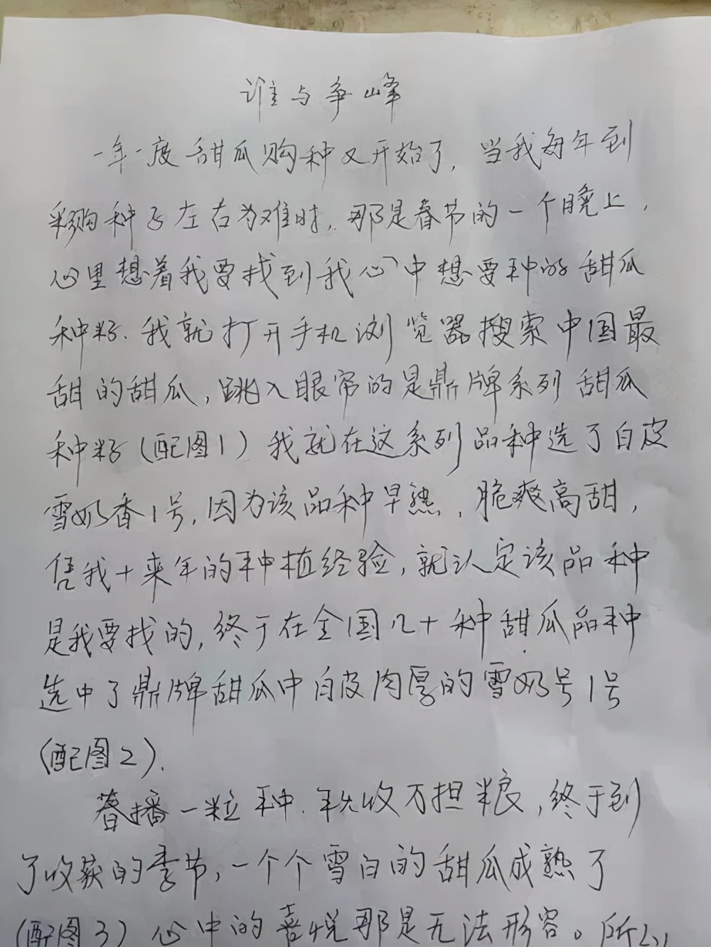 河南焦作的李向林今年種植甜瓜新品種，客戶直接拉貨走人