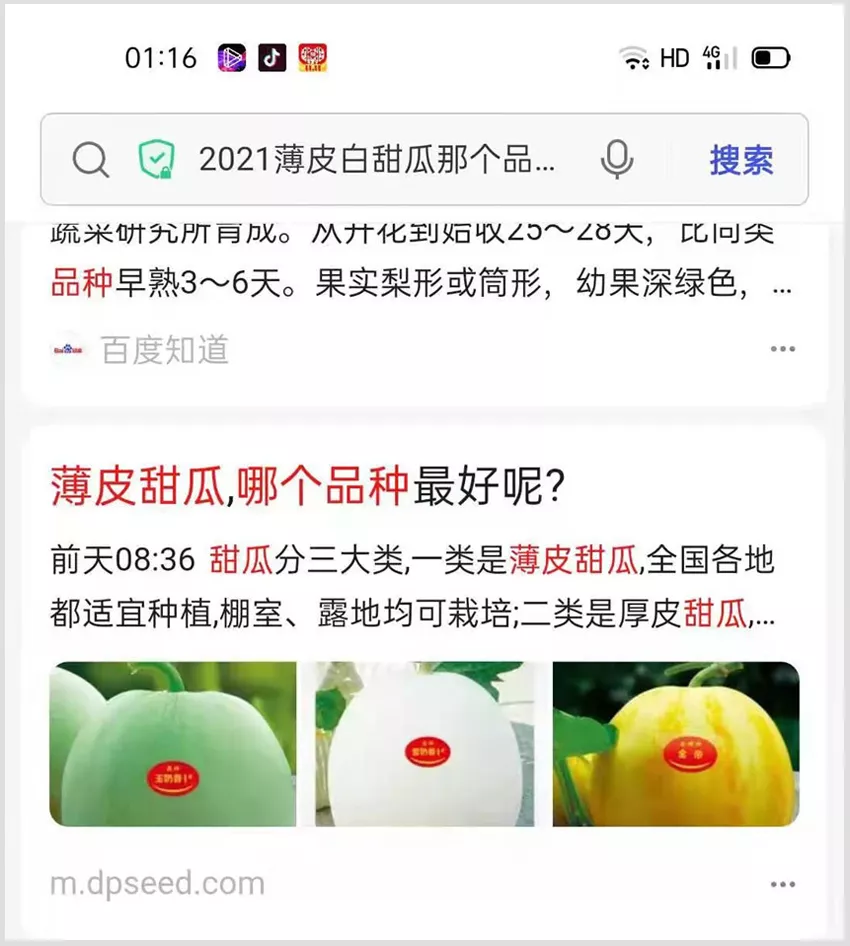 河南焦作的李向林今年種植甜瓜新品種，客戶直接拉貨走人