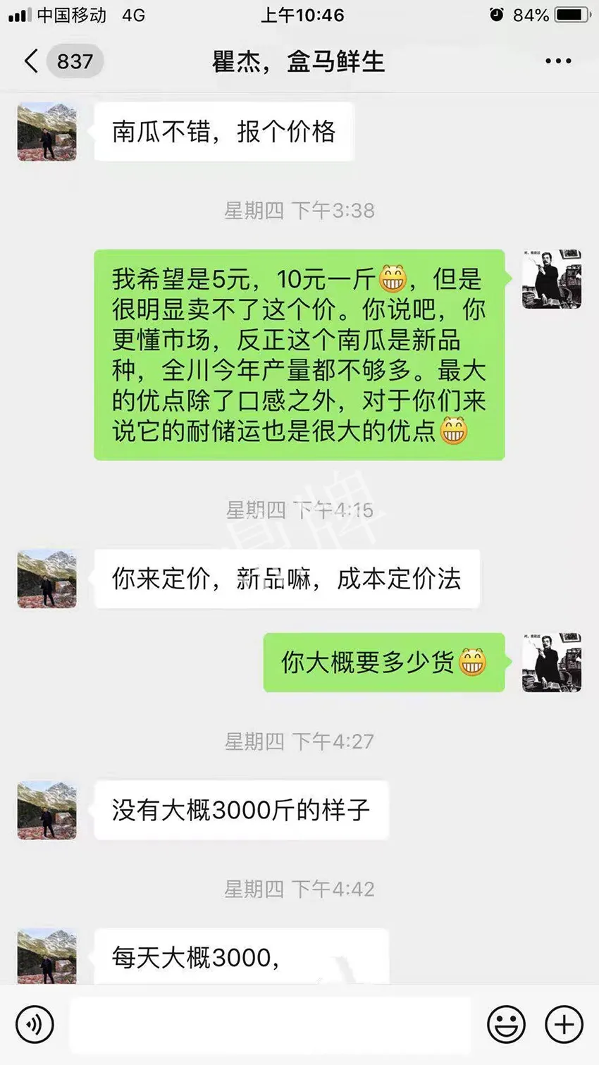 四川農(nóng)戶今年種“健美蜜本”南瓜產(chǎn)量高，品質(zhì)好，感覺巴適得很