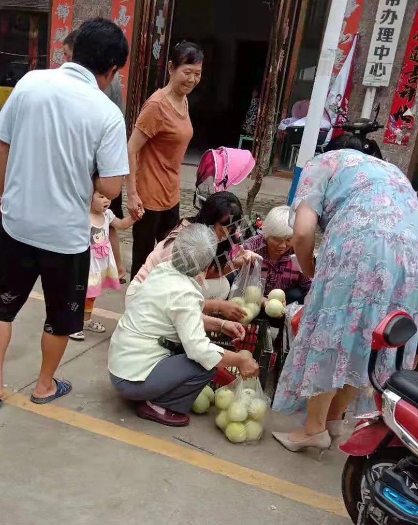 其他品種的甜瓜2塊1斤都賣不動，我的玉奶香2號甜瓜2塊5直接搶