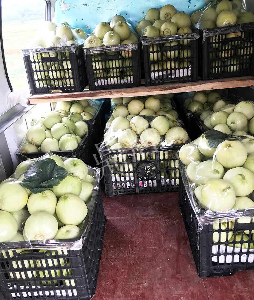 郴州農(nóng)戶種植新品種，果實又香又甜，很好賣