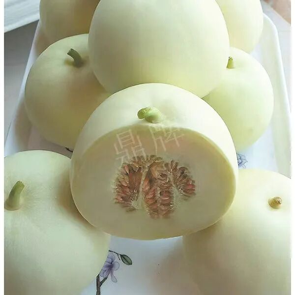 蔬菜種子種植戶種植心得-這個品種幫我留一些，4月份我們當(dāng)?shù)剡€要種一批