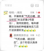 蔬菜種子種植戶客戶點(diǎn)評(píng)-“氣死白糖，甜過初戀”，您知道或體驗(yàn)過這句話嗎